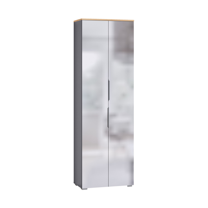 Для одежды, Шкаф для одежды Октава 13.338, серый графит, дуб золотой крафт