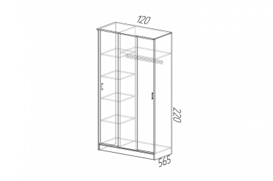 Шкаф-купе ЭКО Ясень Шимо