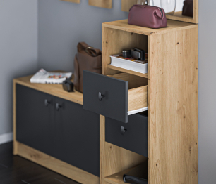 Прихожая Сидней 2 Дуб дикий/Диамант серый