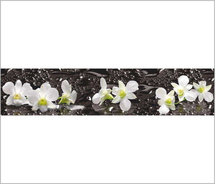 Стеновые панели из МДФ, Панель ASP 14 2800*610*6 глянец Орхидеи на черном