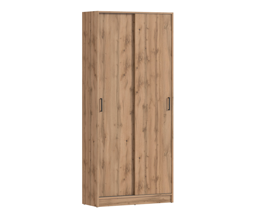 Шкафы-купе, Шкаф-купе 2-х дверный Терра СБ-2545